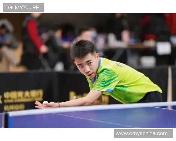 权威发布乒乓球个人能力实力榜单揭晓顶尖选手风采与实力对比分析